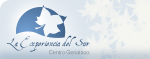 logo La Experiencia del Sur