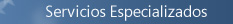 Servicios Especializados